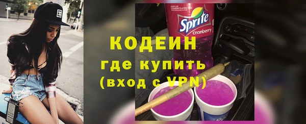 шишки Костерёво