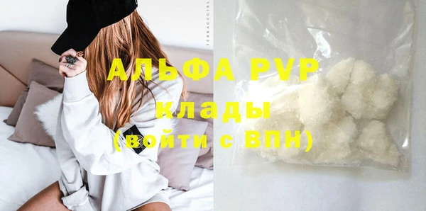шишки Костерёво