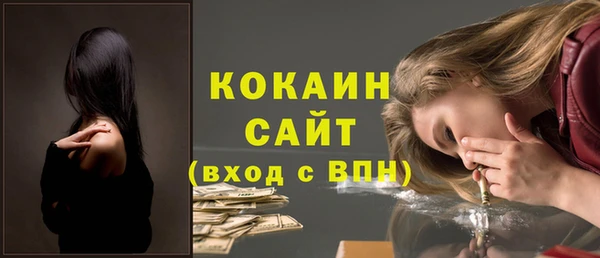 шишки Костерёво