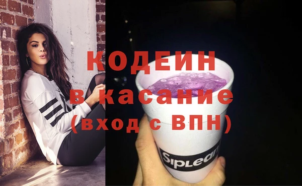 шишки Костерёво